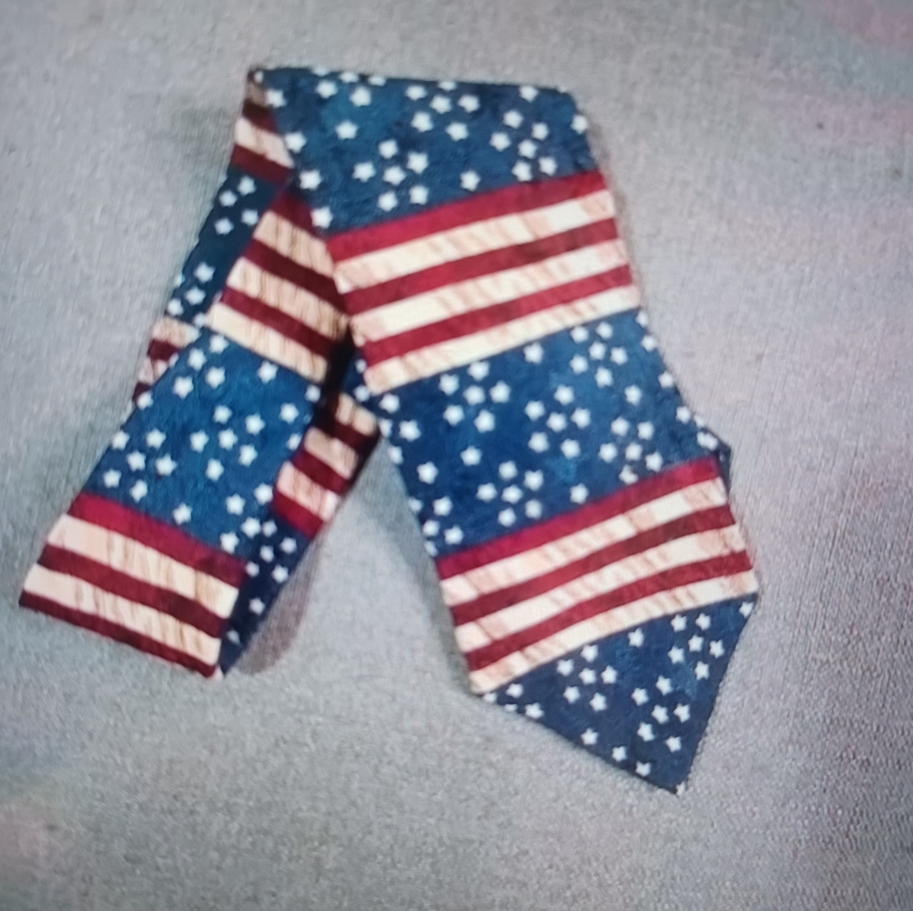 Tango by Max Raab flag tie Silk